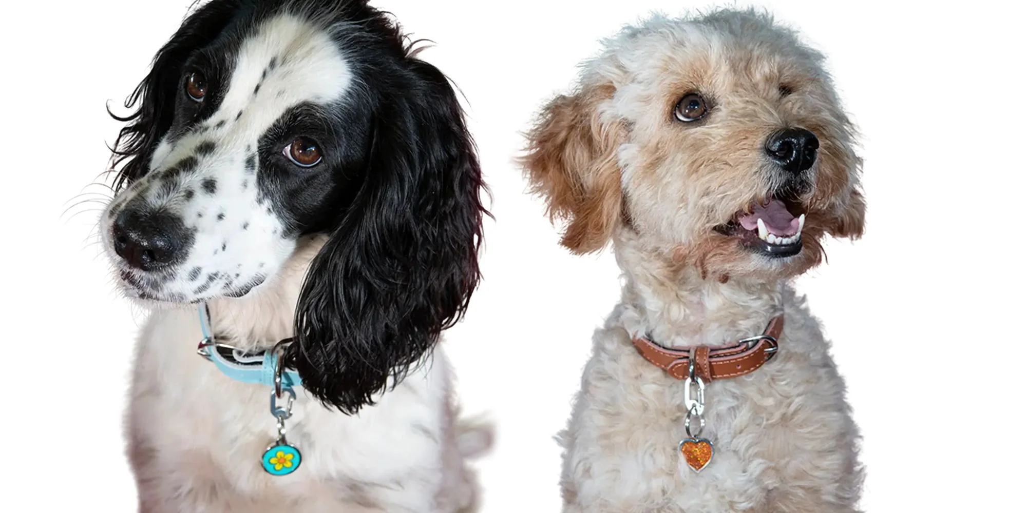 Style That Speaks For Them