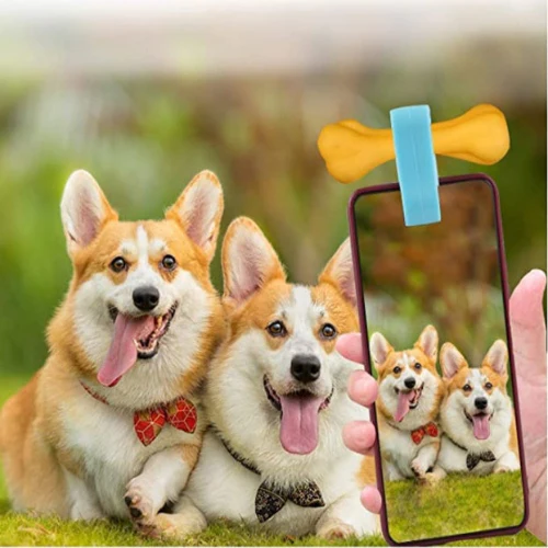 Pet Selfie Smartphone Attachment